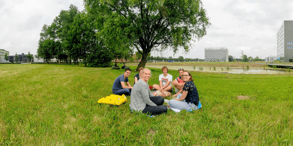 Studenten in het gras