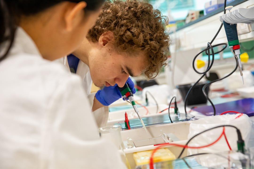 Bio-practicum-2024-DvA-6408.jpgDrupal-afbeelding