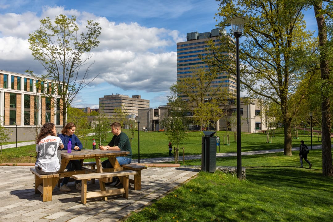 Lente-op-de-campus-2024-DvA-9603.jpgDrupal-afbeelding